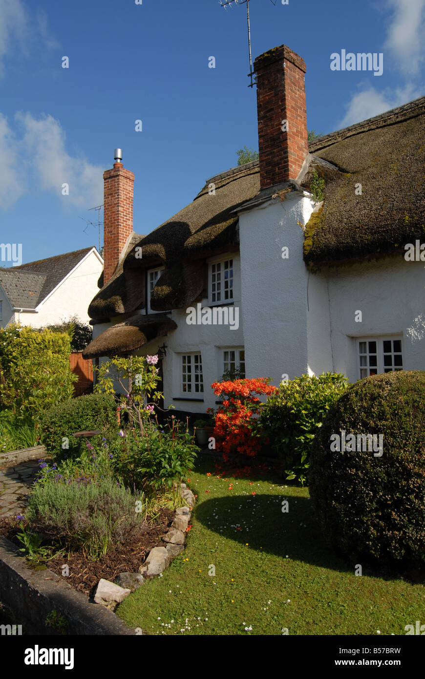 A Thached Cottage in Devon England UK on a Sunny Day Stock Photo