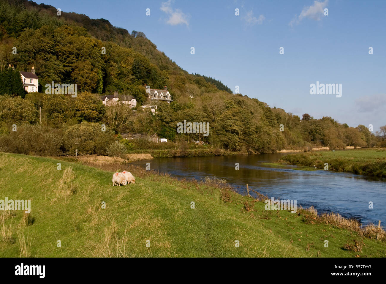 Trefriw Cob beside the River Conwy in the Conwy Valley, Wales Stock Photo
