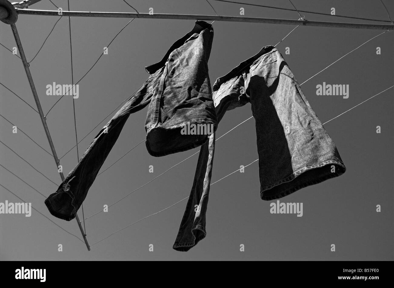 Denim jeans hanging on a Hills Hoist in an Australian backyard Stock Photo