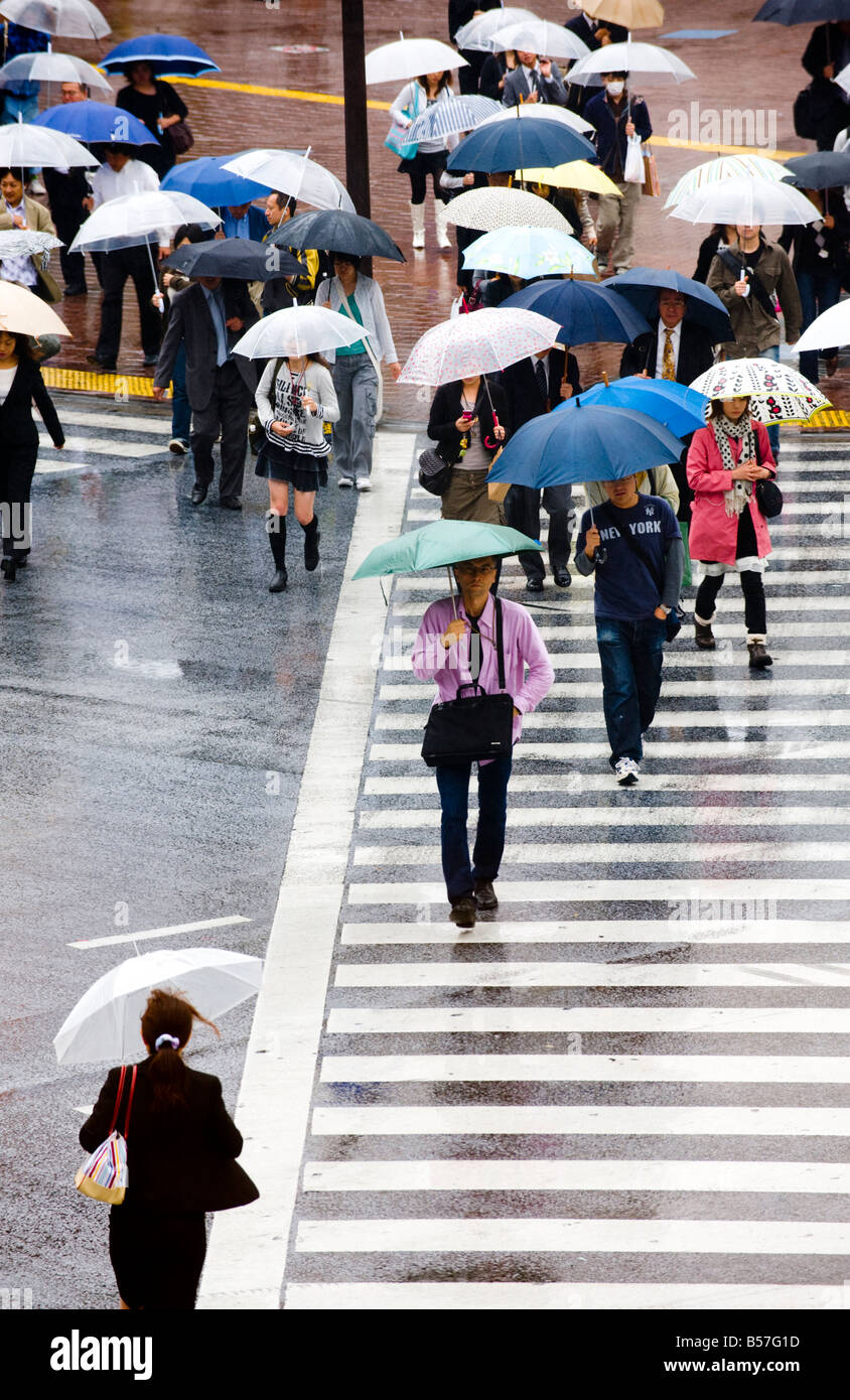 Pedestrians with umbrellas at the main crossing in The Shibuya district ...