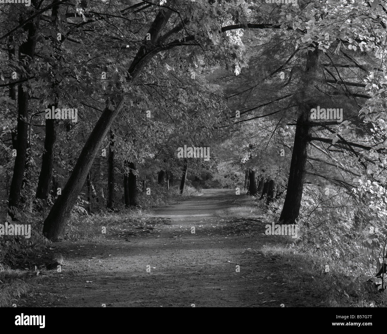 The pathway at Mine Falls Park in Nashua, New Hampshire Stock Photo - Alamy