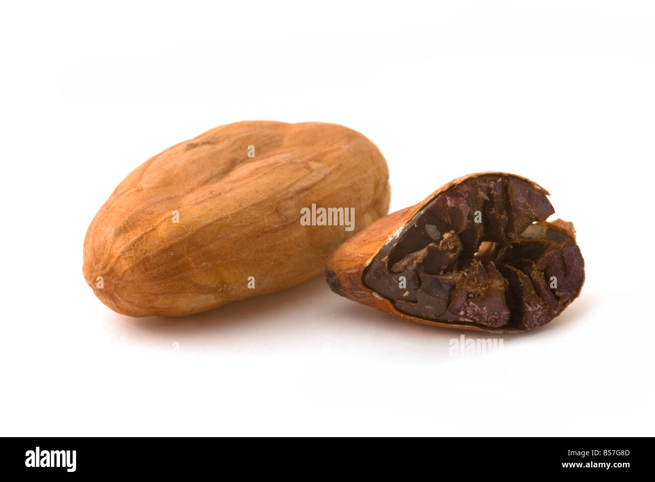 Cacao Beans on a White Background. One is split in half to show contents. Stock Photo