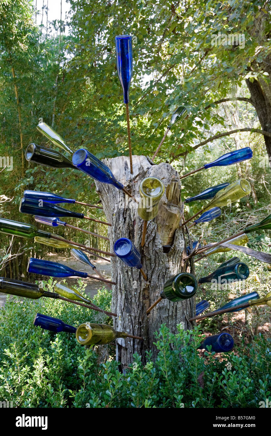 African Bottle Tree