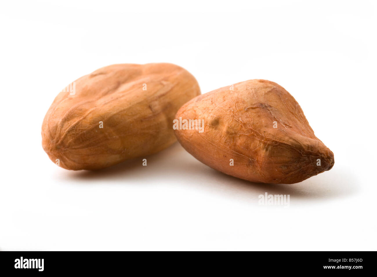 Cacao Beans on a White Background. Stock Photo