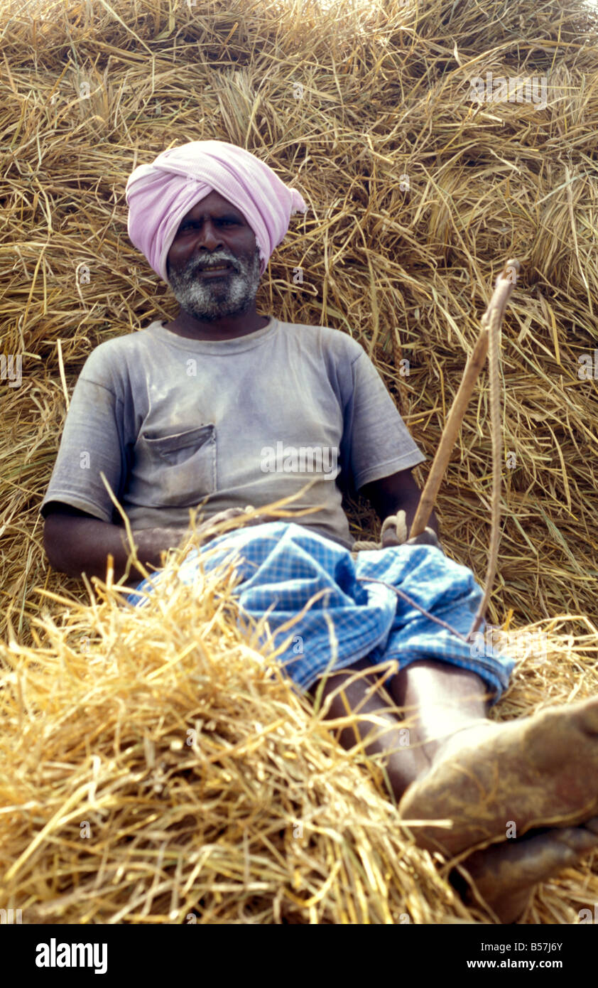 Tamilnadu Farmers High Resolution Stock Photography and Images - Alamy