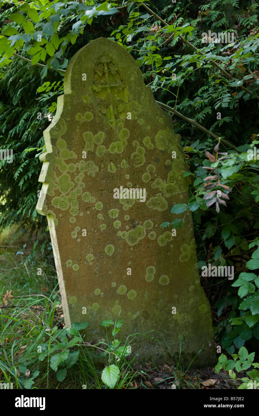 Lichen gravestone hi-res stock photography and images - Alamy