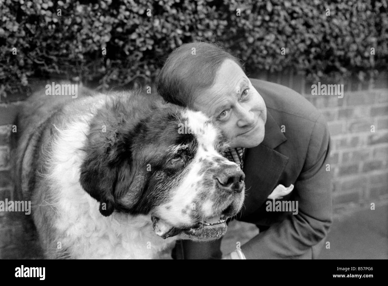 Shane bernard dog 2025