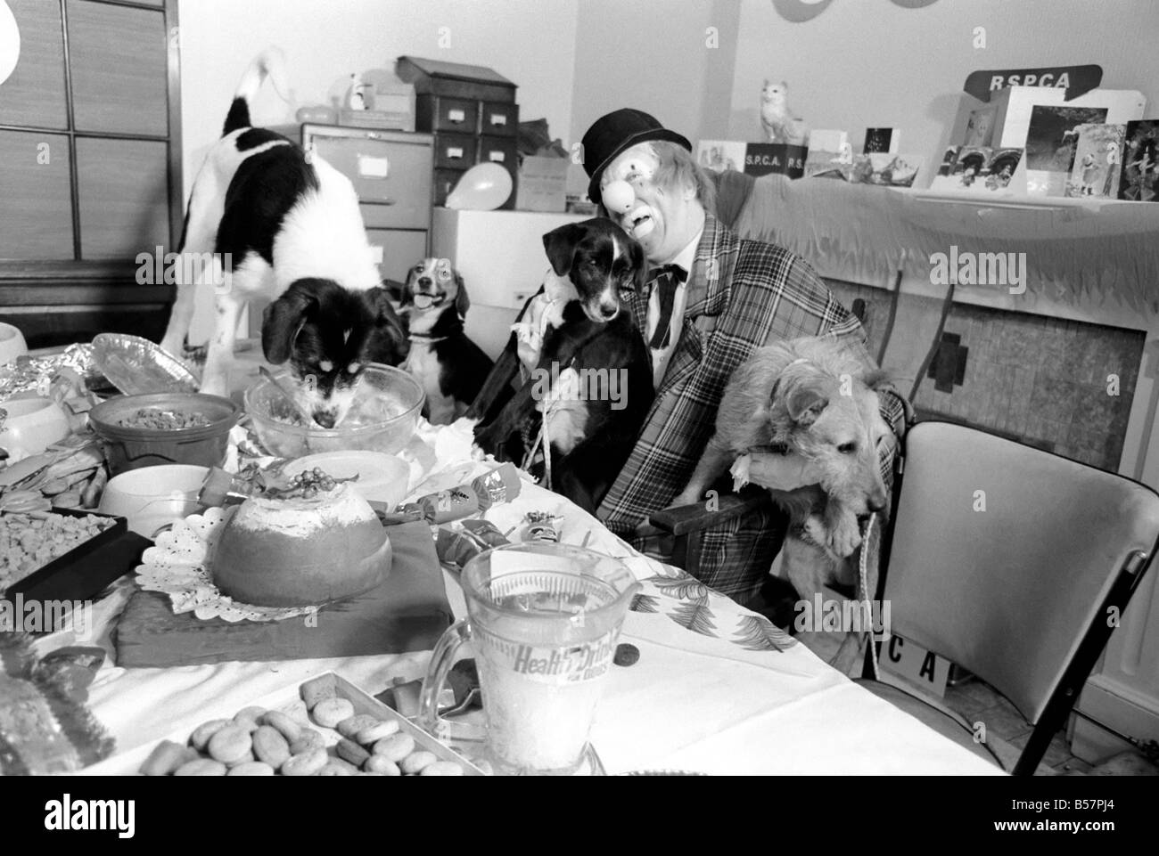 Dogs Christmas Party. 'Hobo' plays host to the doggy guests enjoying a menu of biscuits, dog-meat, turkey gravy-sauce and chocolate-drops. ;December 1970 ;70-11583-014 Stock Photo