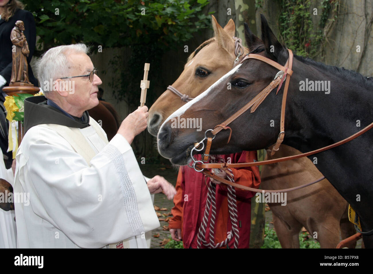 Catholic priest blessing two horses (Equus caballus) in honour of St ...