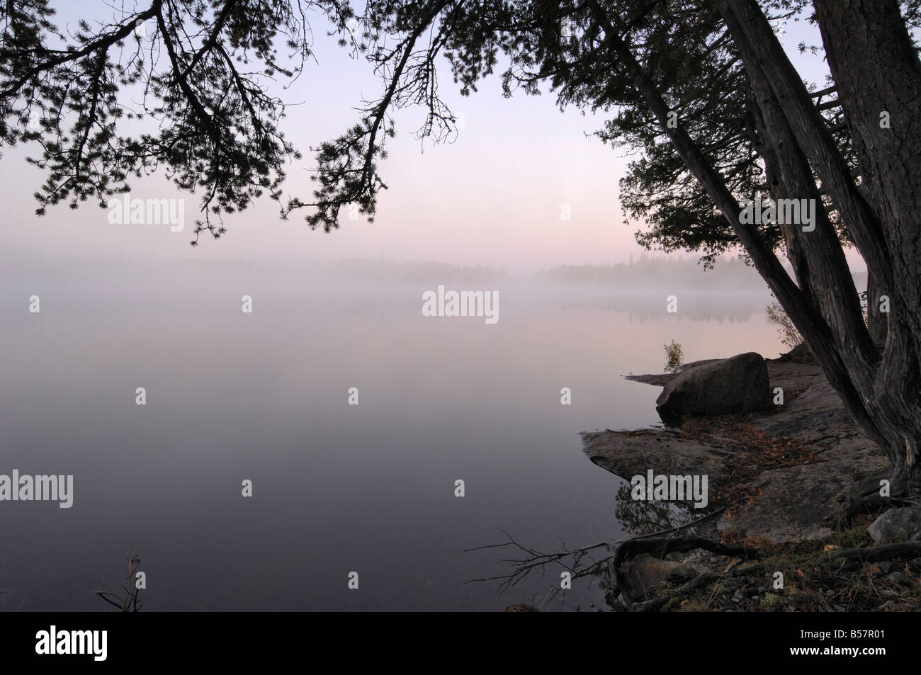Misty morning, Malberg Lake, Boundary Waters Canoe Area Wilderness, Superior National Forest, Minnesota Stock Photo