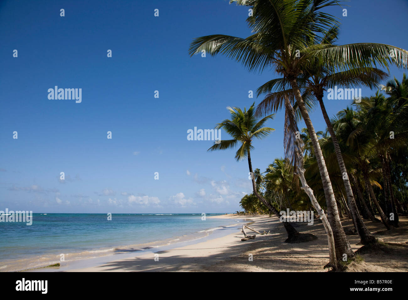 Las Terrenas, Samana Peninsula, Dominican Republic, West Indies, Caribbean, Central America Stock Photo