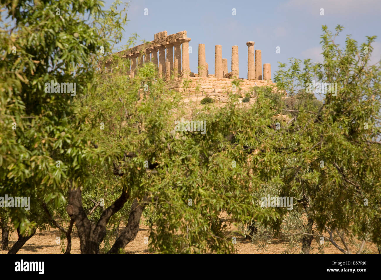 Temple of Juno, Valley of the Temples, Agrigento, UNESCO World Heritage Site, Sicily, Italy, Europe Stock Photo