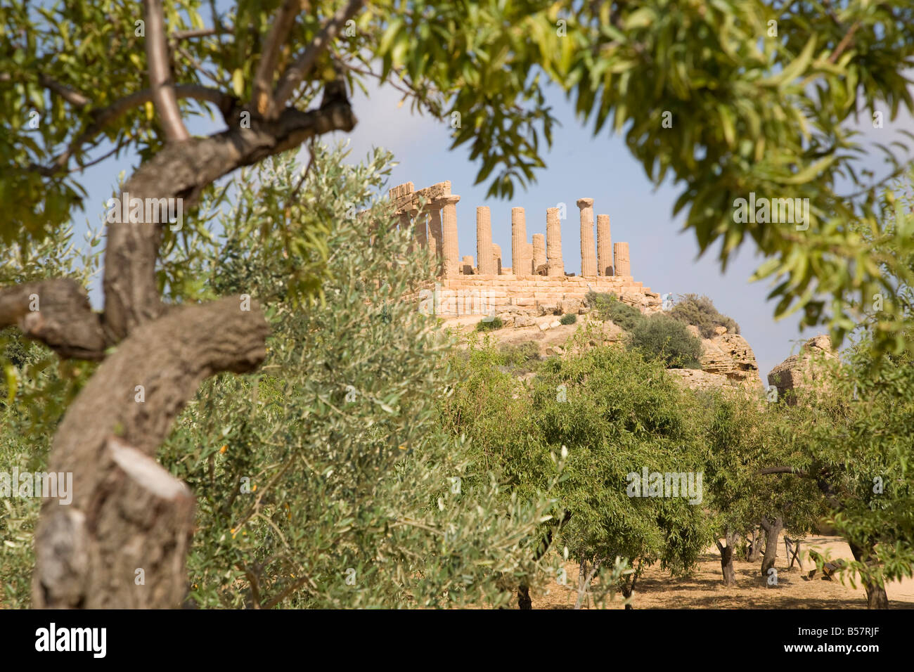 Temple of Juno, Valley of the Temples, Agrigento, UNESCO World Heritage Site, Sicily, Italy, Europe Stock Photo