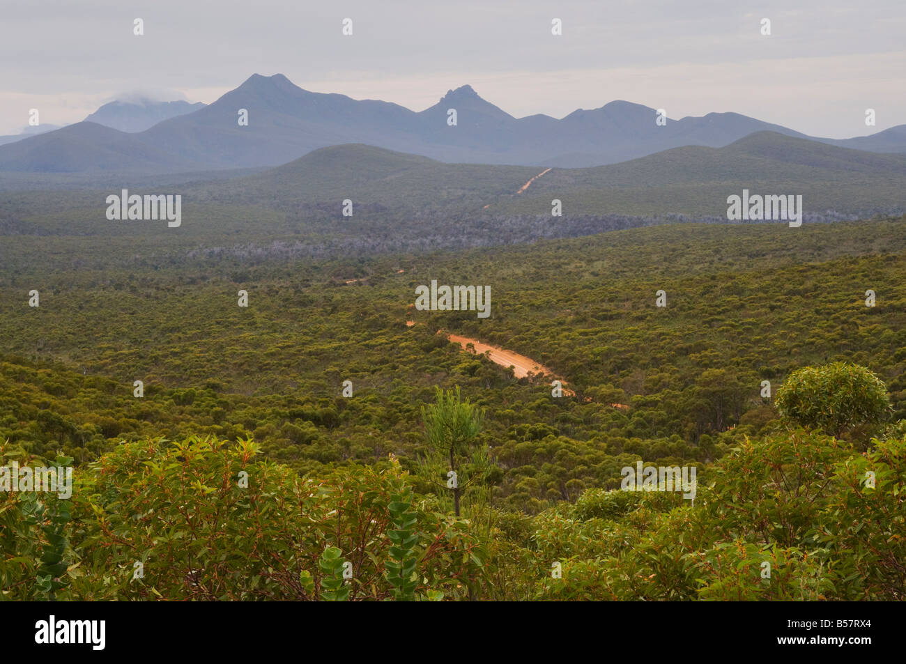 Stirling Range, Stirling Range National Park, Western Australia, Australia, Pacific Stock Photo