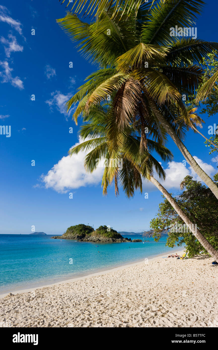 The world famous beach at Trunk Bay, St. John, U.S. Virgin Islands, West Indies, Caribbean, Central America Stock Photo