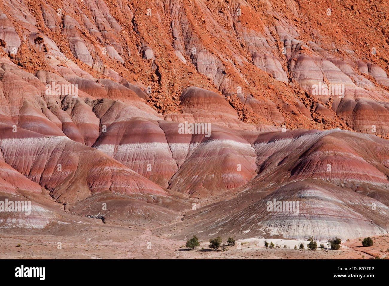 Rock strata in cliffs in Paria River Valley, Grand StaircaseEscalante