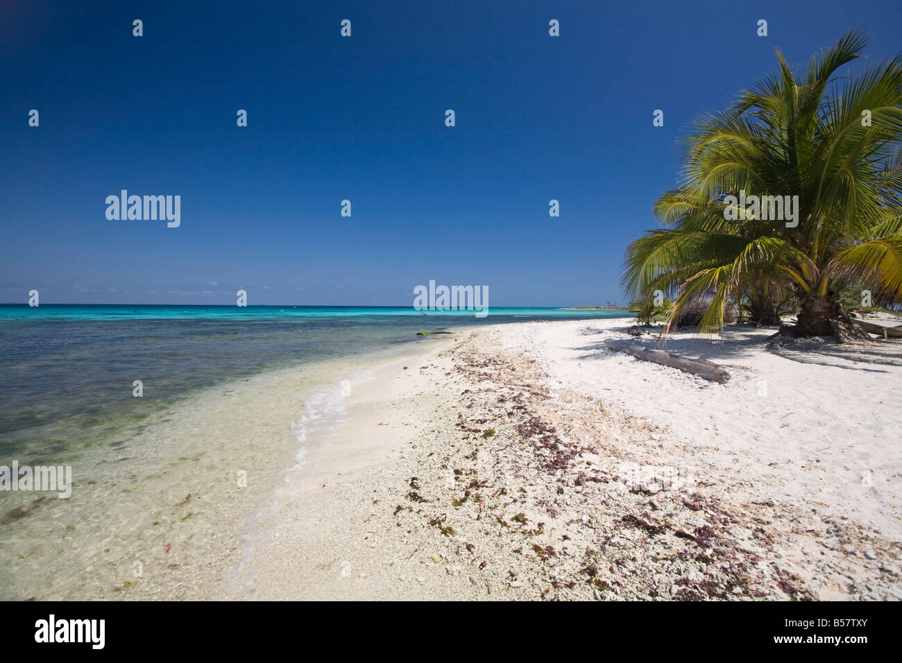 Laughing Bird Caye National Park, UNESCO World Heritage Site, Belize, Central America Stock Photo