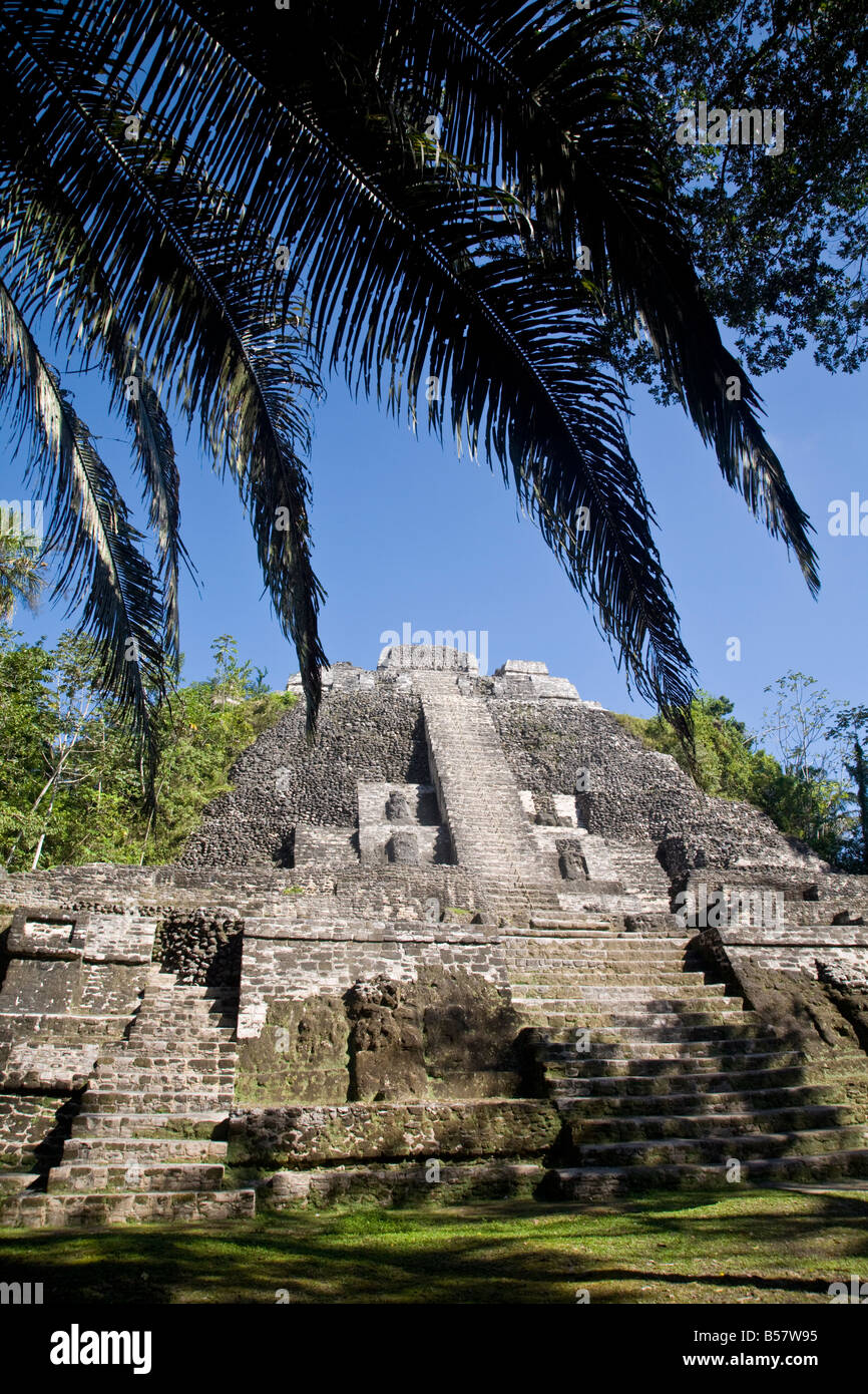 High Temple (Structure N10-43), the highest temple in the Mayan site, Lamanai, Belize, Central America Stock Photo