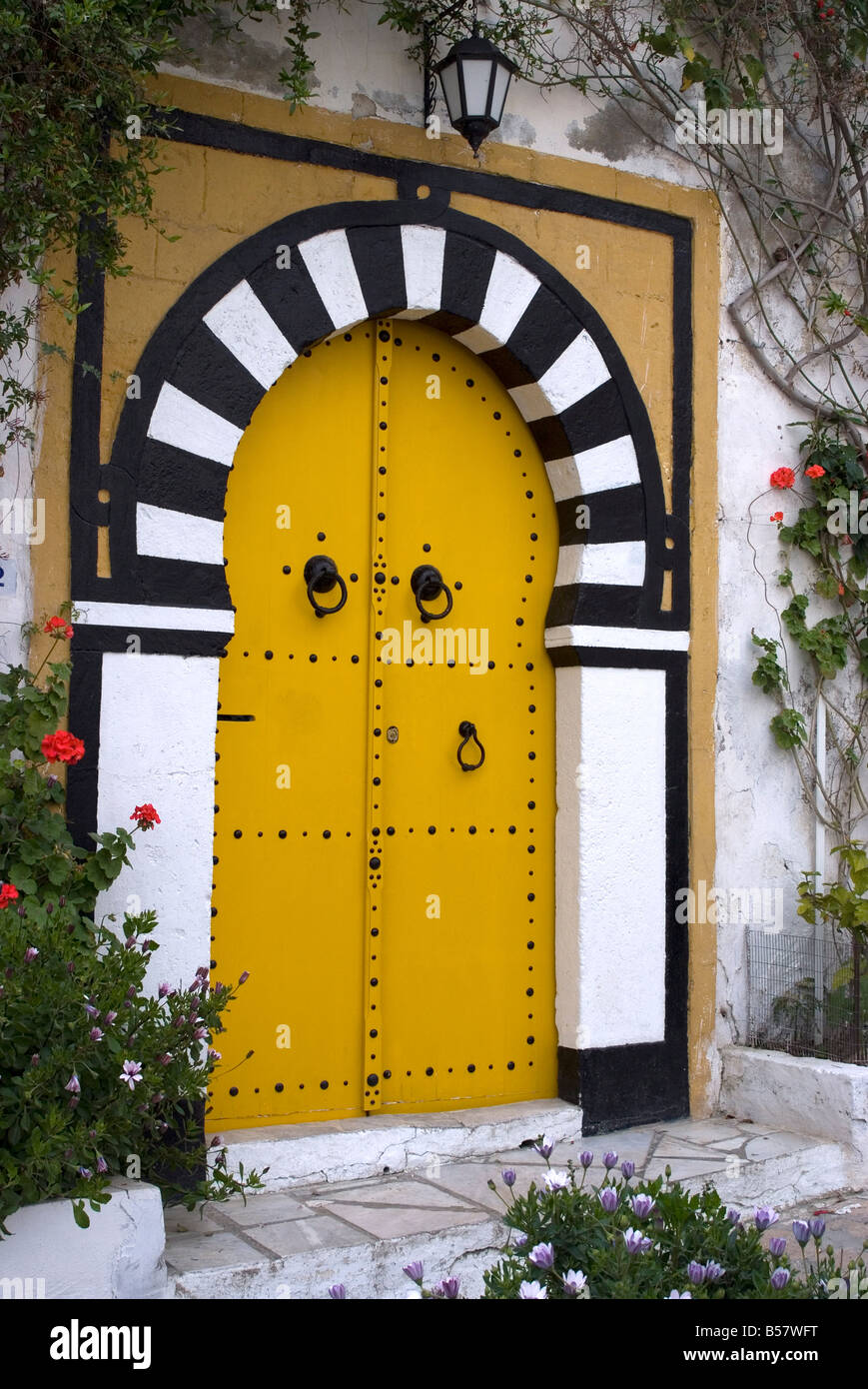 Door, Sidi Bou Said, near Tunis, Tunisia, North Africa, Africa Stock Photo