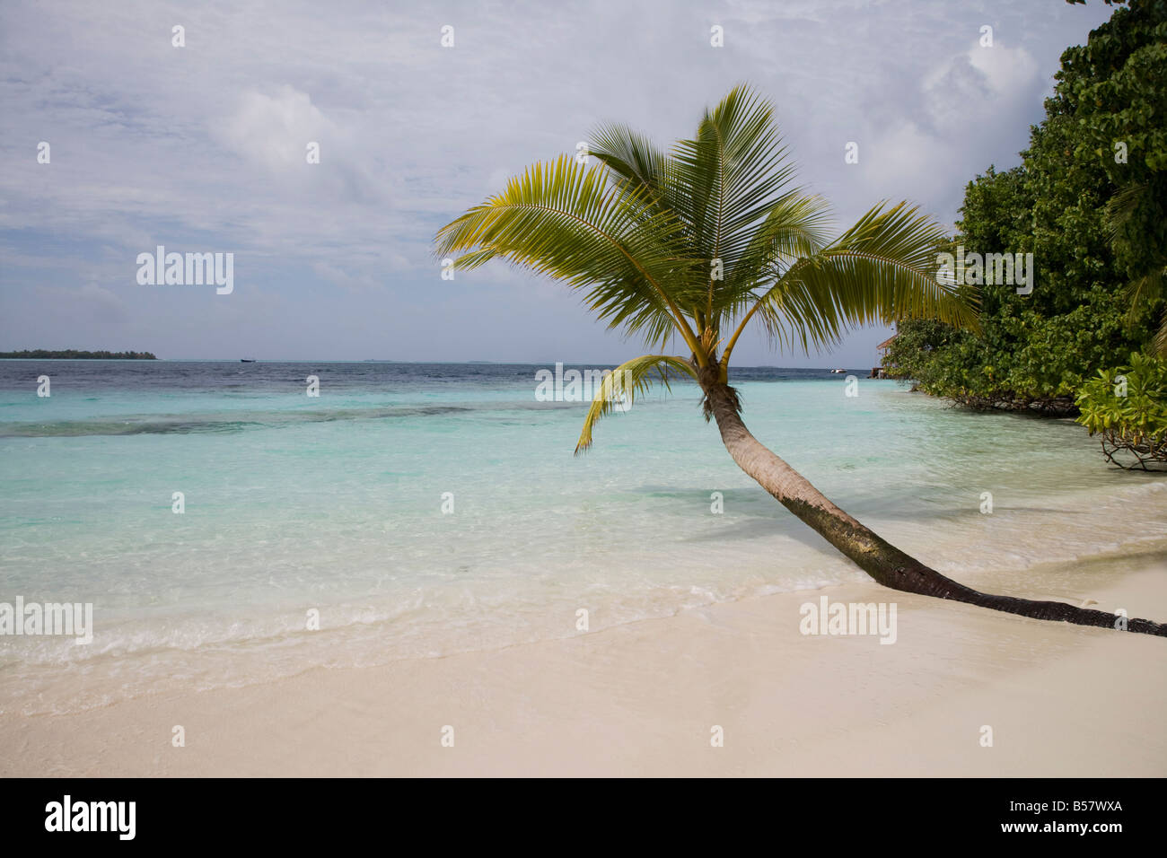 Vilamendhoo Island, Ari Atoll, Maldives, Indian Ocean, Asia Stock Photo