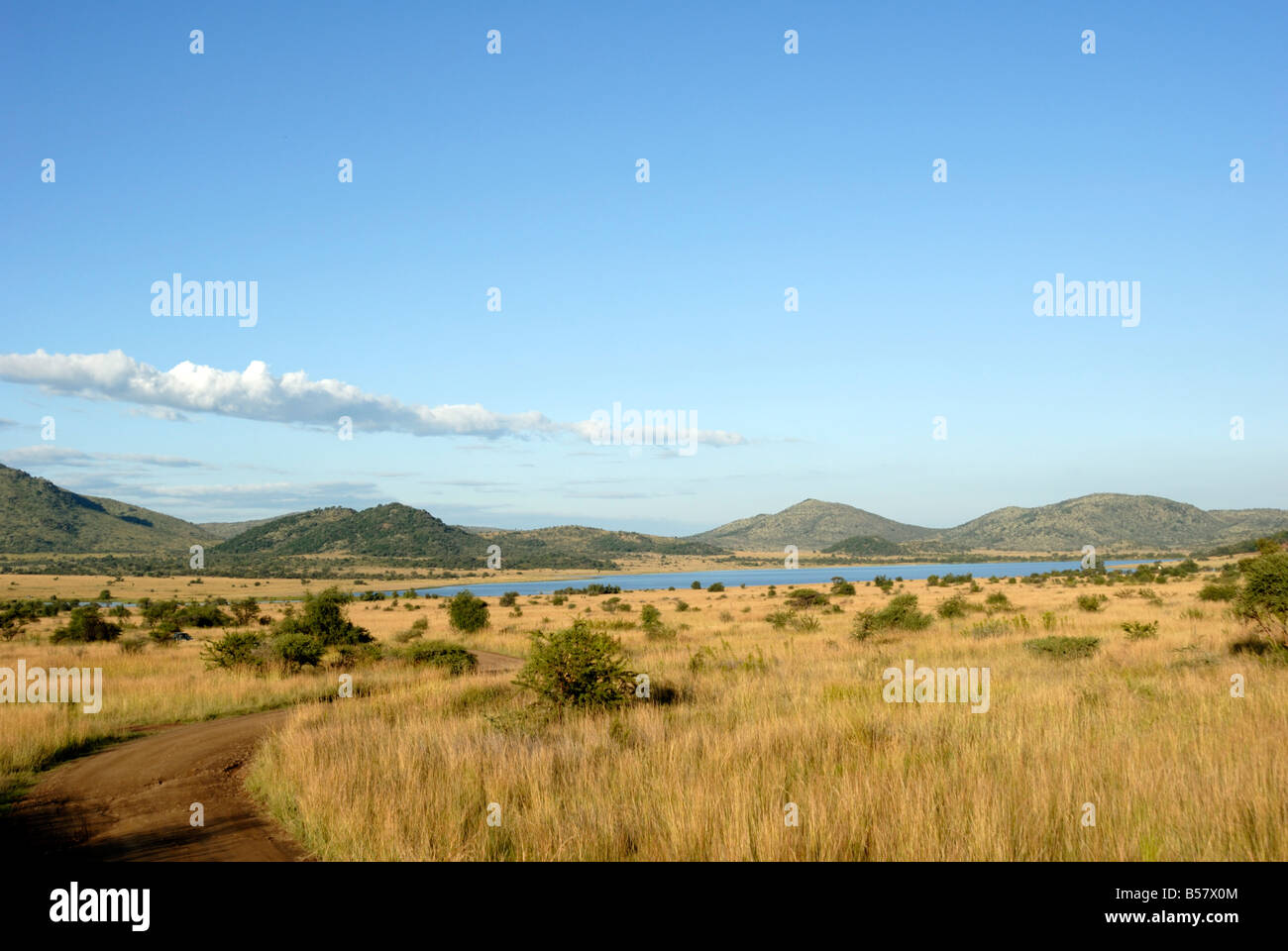 pilanesberg national park south africa
