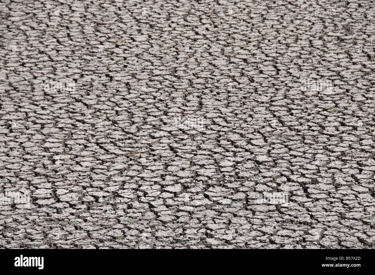 Cracked river bed in drought, Mexico, North America Stock Photo