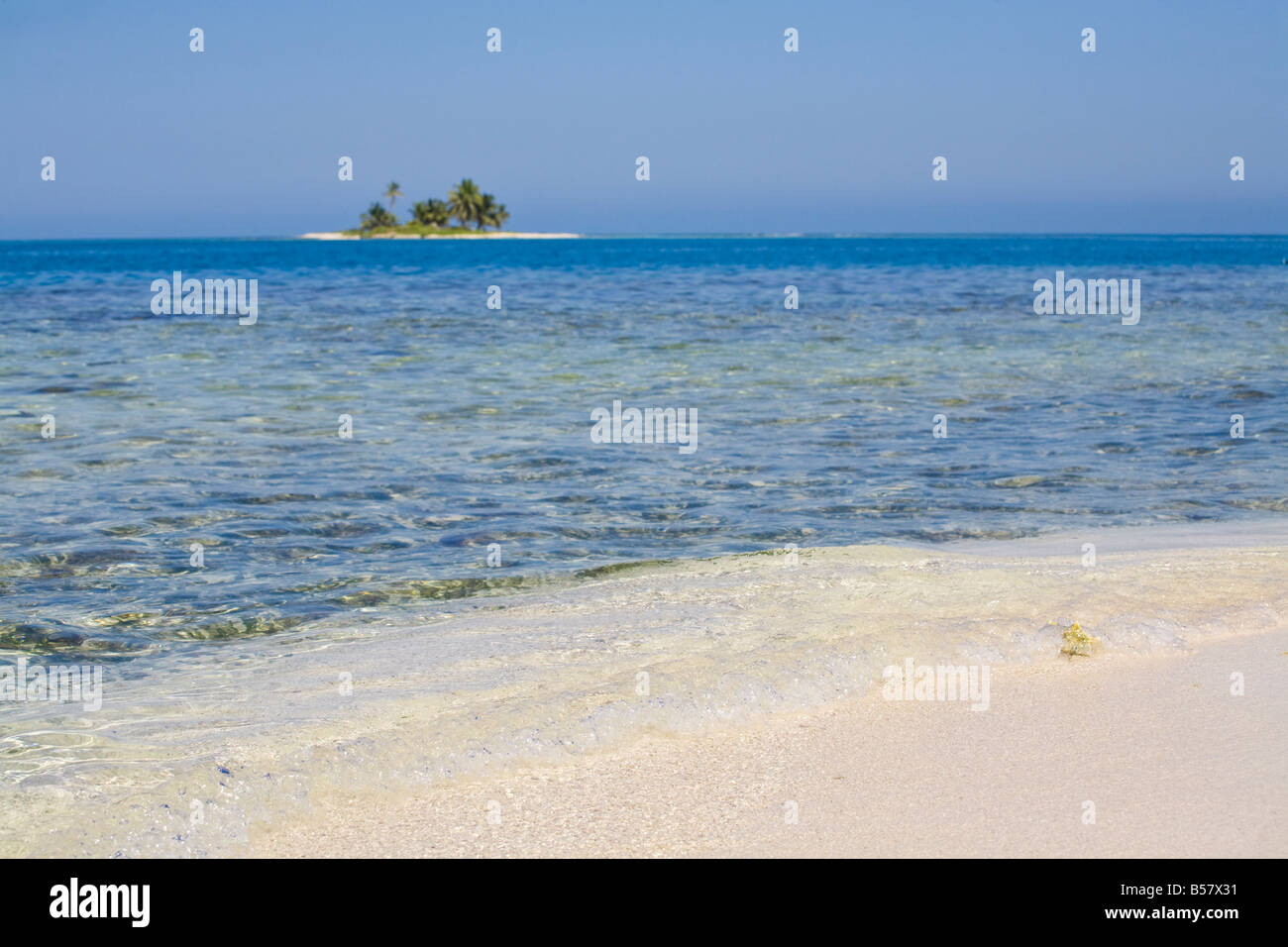 Beach Silk Caye Belize Central America Stock Photo