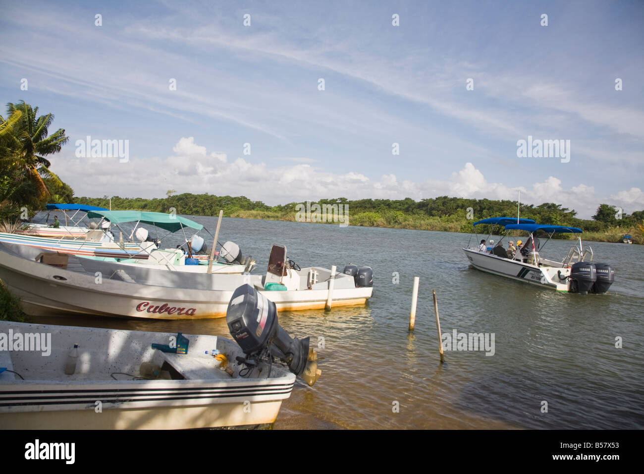 Boats Monkey River Placencia Belize Central America Stock Photo