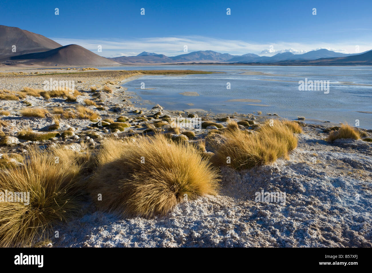 Altiplano, Los Flamencos National Reserve, Atacama Desert, Antofagasta ...