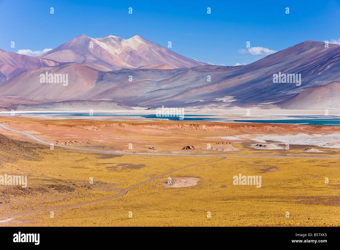 The altiplano, Los Flamencos National Reserve, Atacama Desert ...