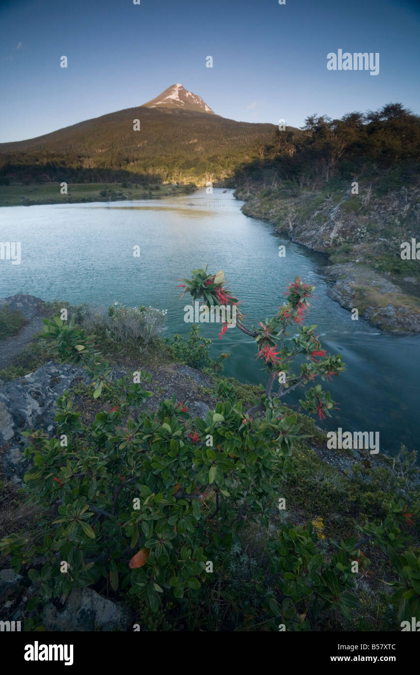 Landscape, Tierra Del Fuego National Park, Argentina, South America Stock Photo