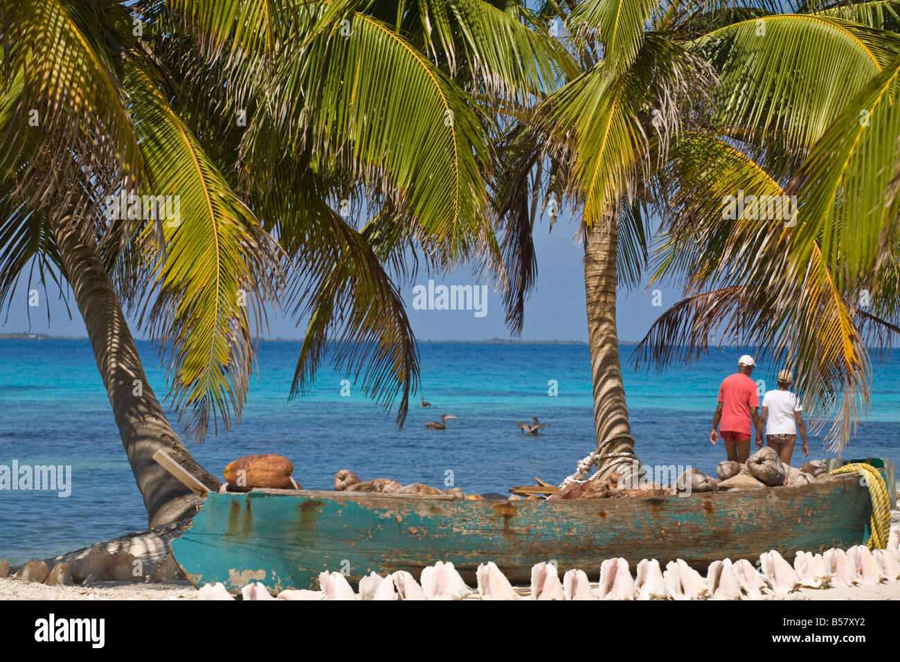 Shells in front of canoe filled with coconut husks Laughing Bird Caye Belize Central America Stock Photo