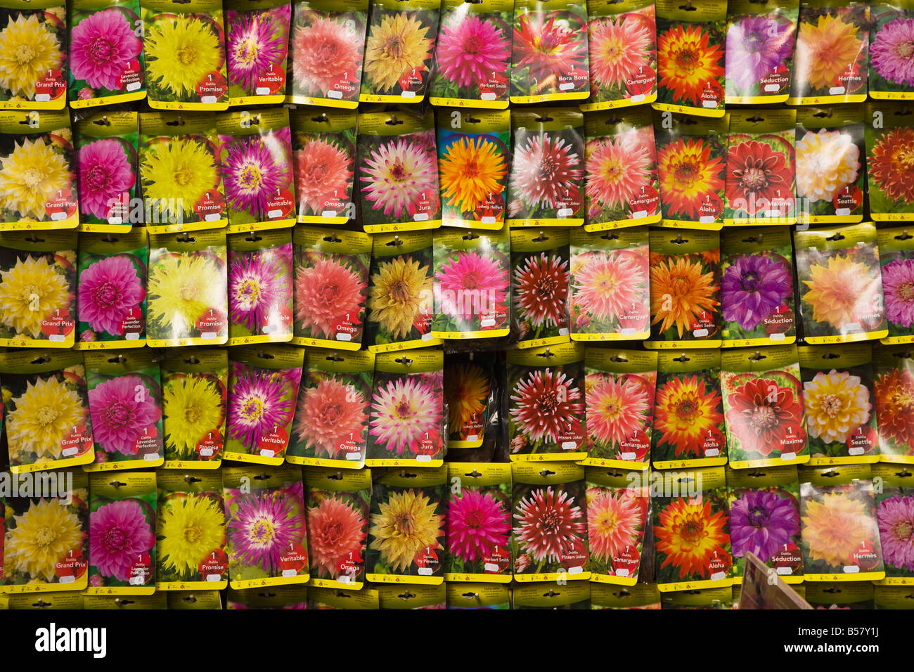 Seed packets, Bloemenmarkt (flower market), Amsterdam, Netherlands