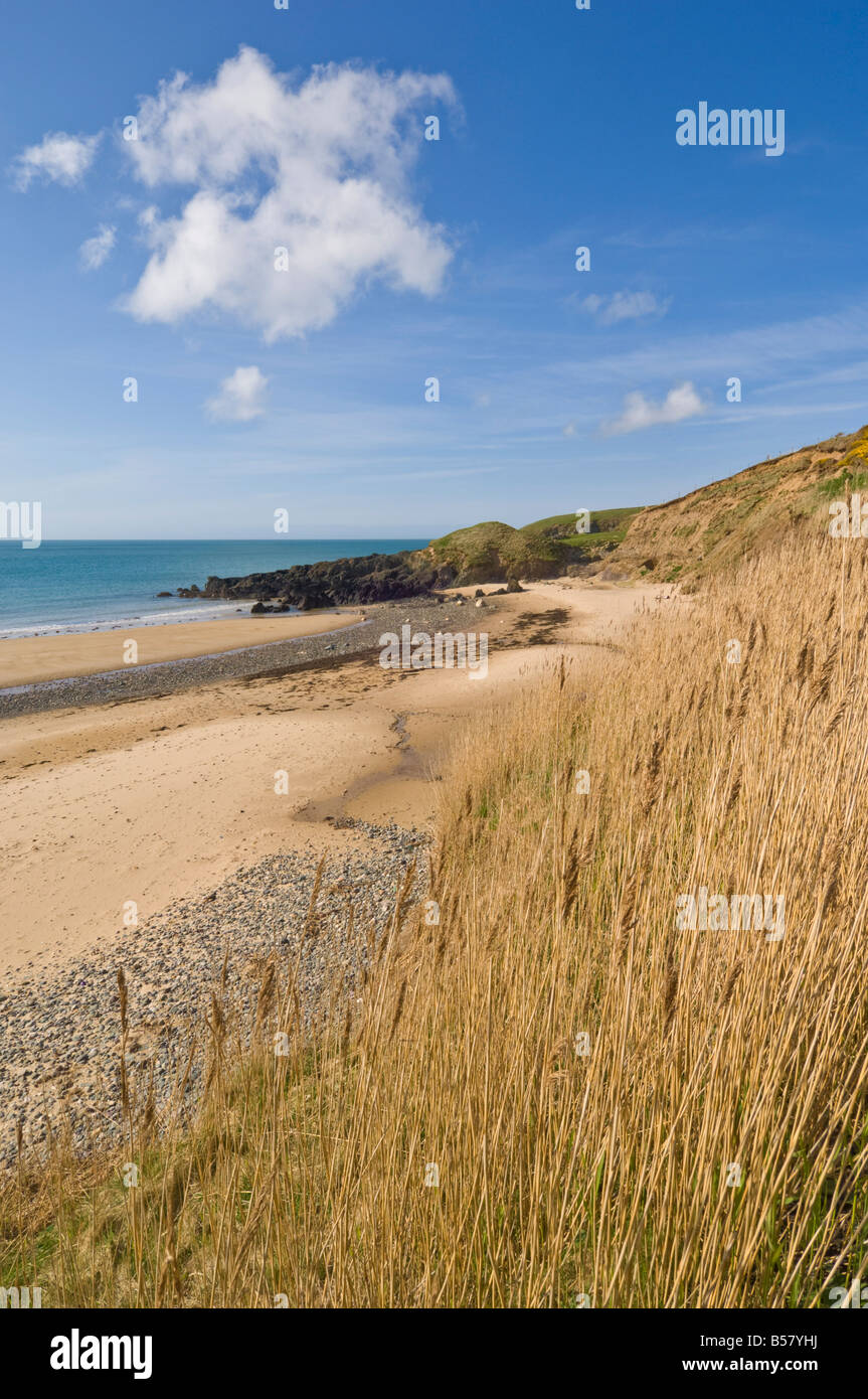 Porthor beach, where the sand whistles due to the unique shape of the grains, Llyn Peninsulal Gwynedd, Wales, United Kingdom Stock Photo