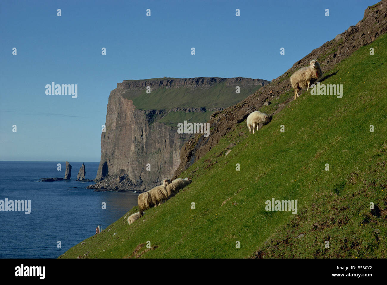 Ruin on a steep slope, near Calhau das Achadas, Madeira, Portugal Stock  Photo - Alamy