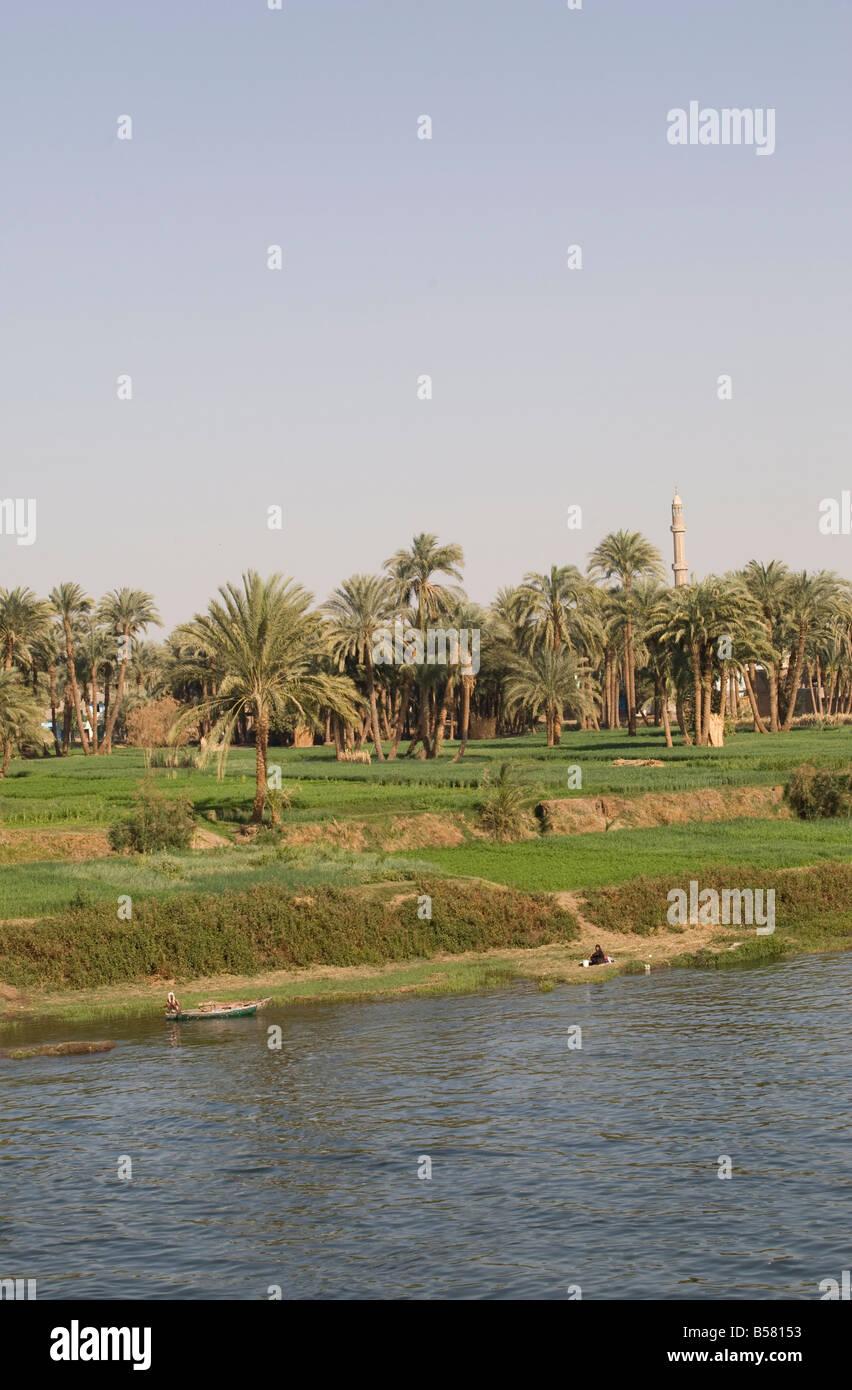 The River Nile near Aswan, Egypt, North Africa, Africa Stock Photo - Alamy