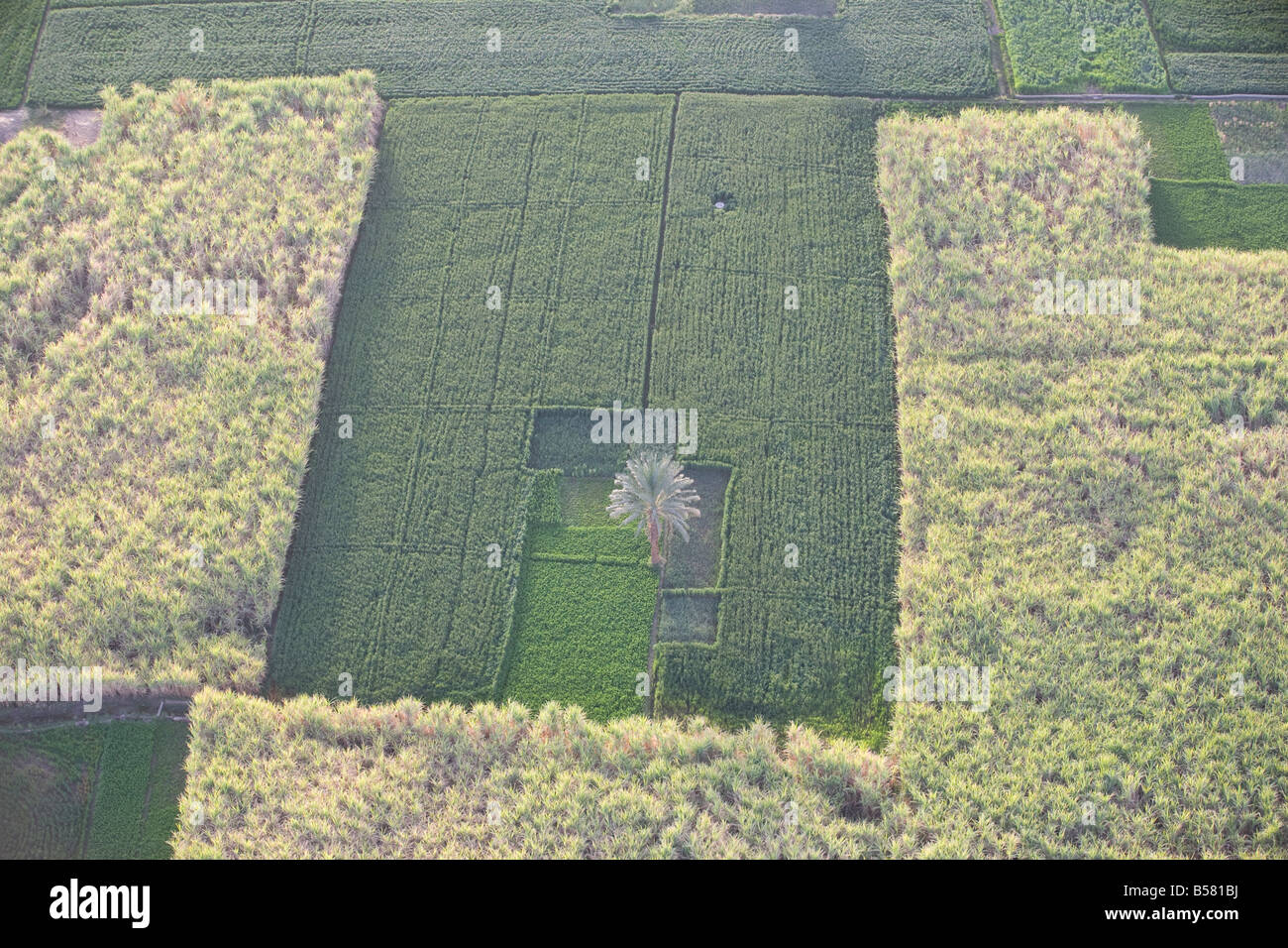 Fields along nile hi-res stock photography and images - Alamy