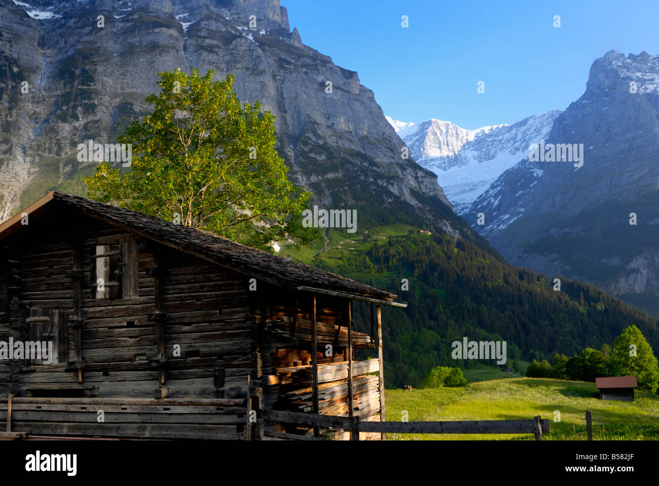 Chalet and mountains, Grindelwald, Bern, Switzerland, Europe Stock Photo Alamy
