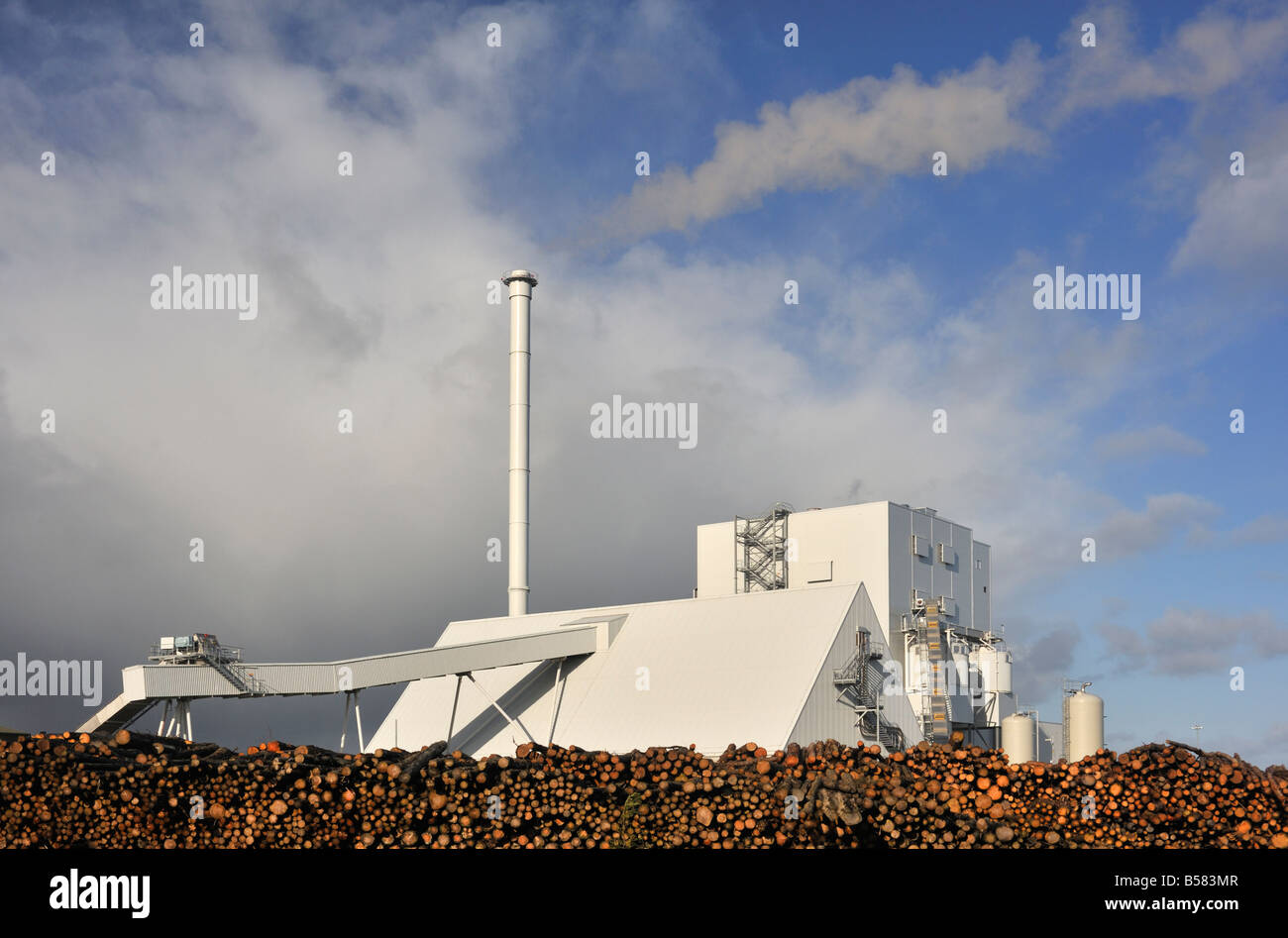 Steven's Croft Power Station, 44MW. wood burning power station. Lockerbie, Dumfries and Galloway, Scotland, United Kingdom. Stock Photo