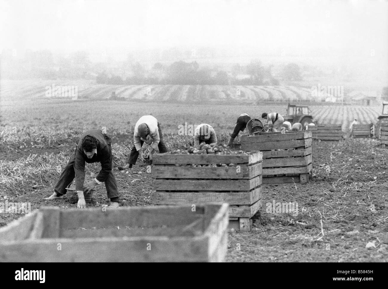 Farm labour Black and White Stock Photos & Images Alamy