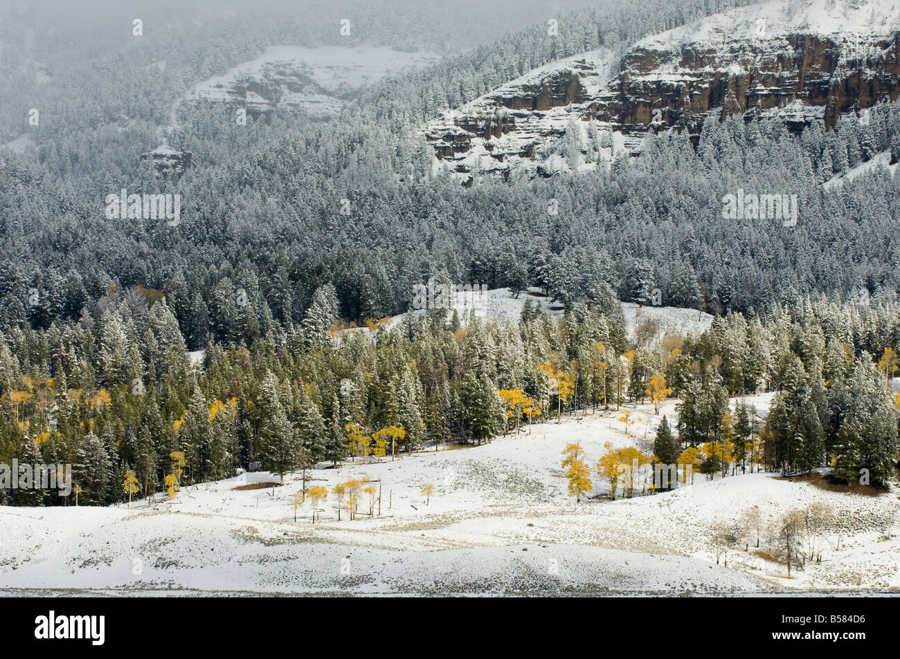 Lamar valley hi-res stock photography and images - Alamy