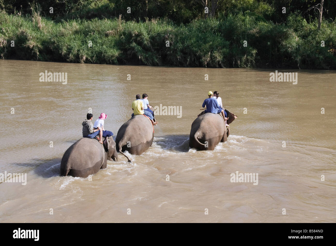 Tourists and elephants at the Anantara Golden Triangle Resort, Sop Ruak, Golden Triangle, Thailand, Southeast Asia, Asia Stock Photo