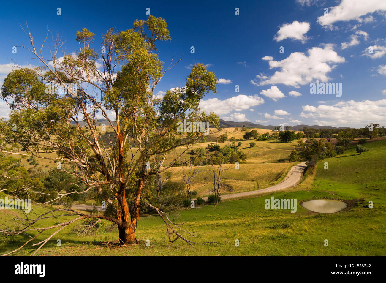 Buchan victoria hires stock photography and images Alamy