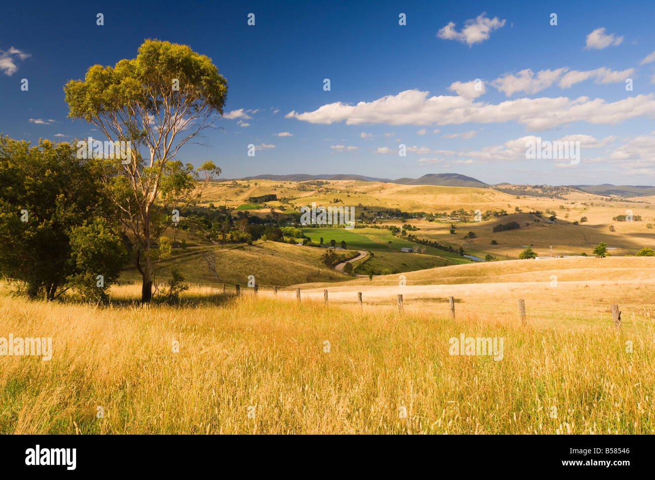 Buchan victoria australia hires stock photography and images Alamy