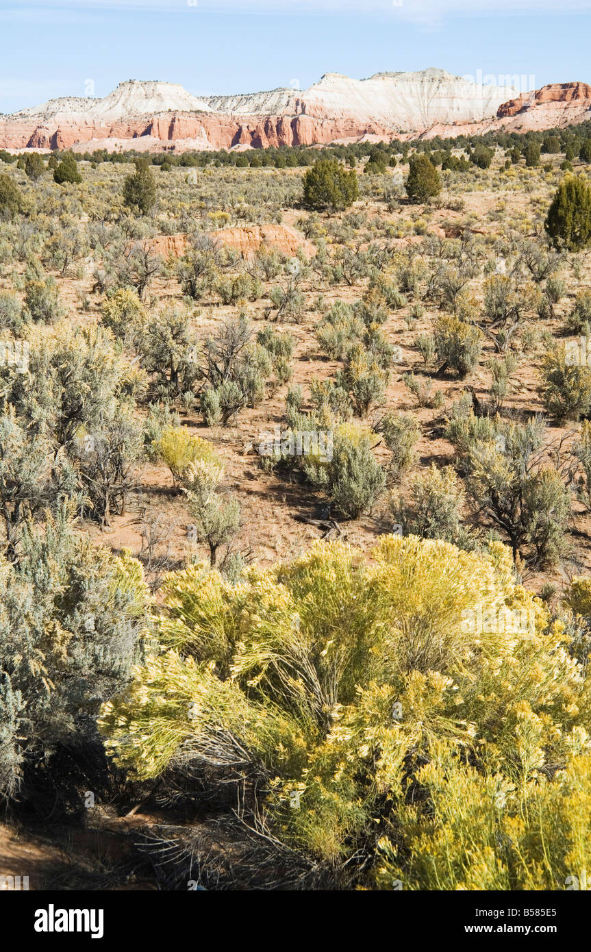 Kodachrome Basin State Park, Utah, United States of America, North America Stock Photo