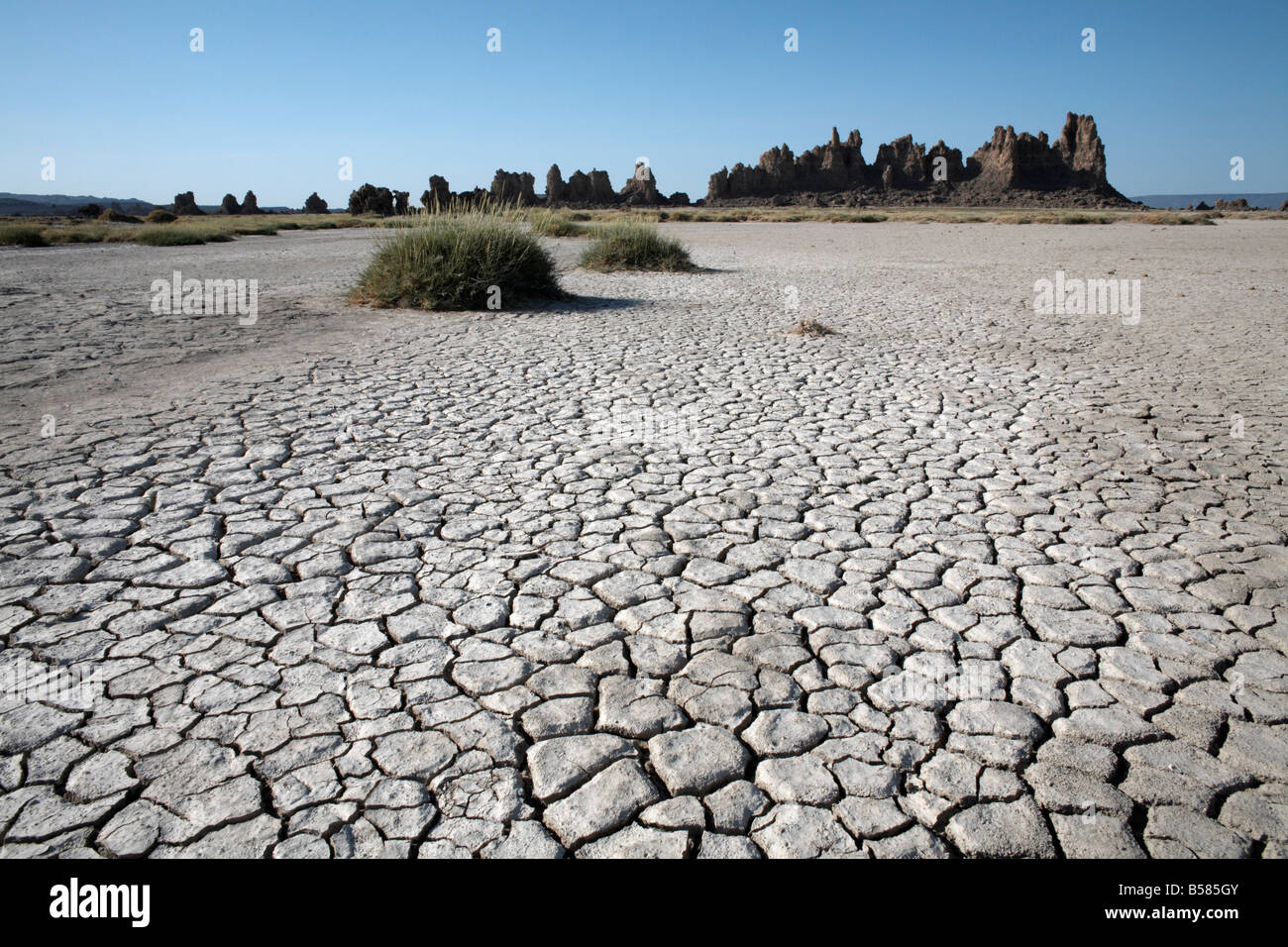 The desolate landscape of Lac Abbe, dotted with limestone chimneys, Djibouti, Africa Stock Photo