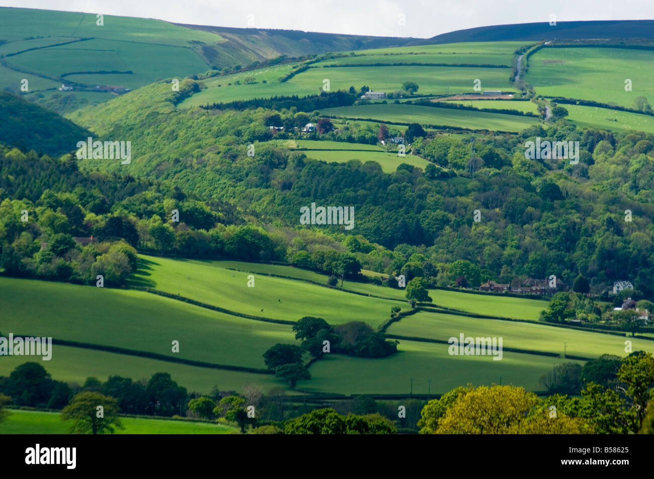 Rolling hills in springtime near Selworthy, Somerset, England, United  Kingdom, Europe Stock Photo - Alamy