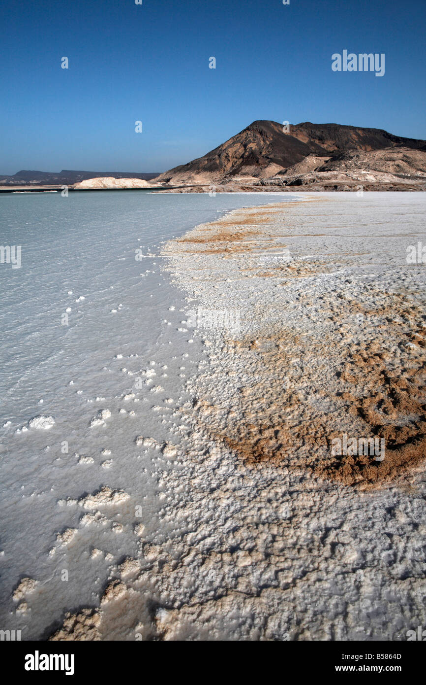 Sel gemme sur gypse (Lac Assal) - Photo AN 04974 - Gryphea