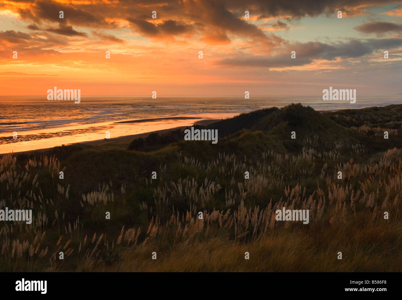 Sunset, Ocean Beach, Kawhia, North Island, New Zealand, Pacific Stock