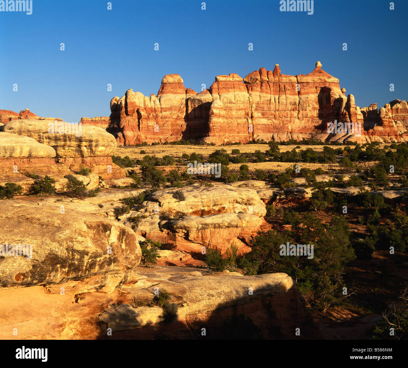 The Needles in Chesler Park, Canyonlands National Park, Utah, United States of America, North America Stock Photo